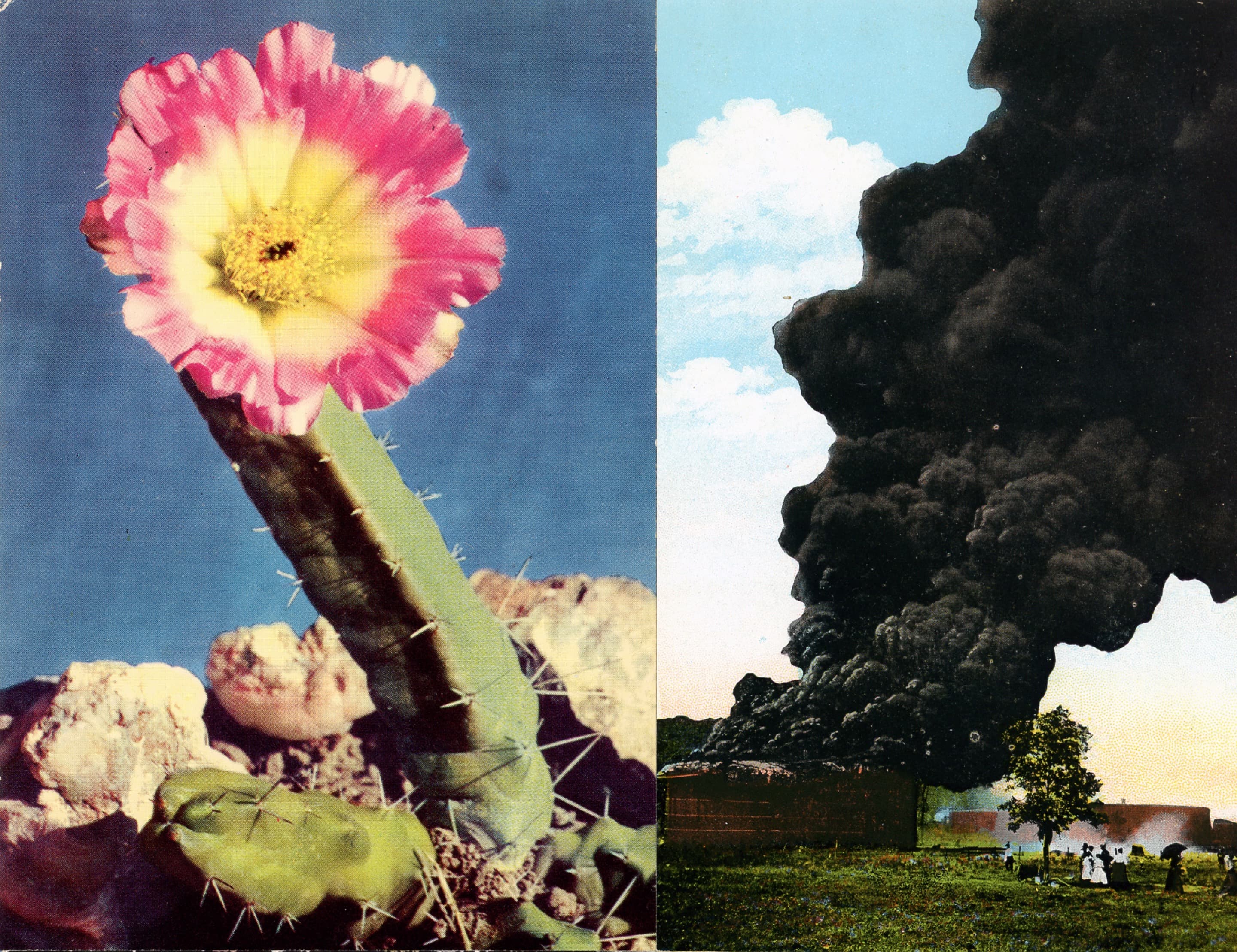 Bloom Boom collage graphic.