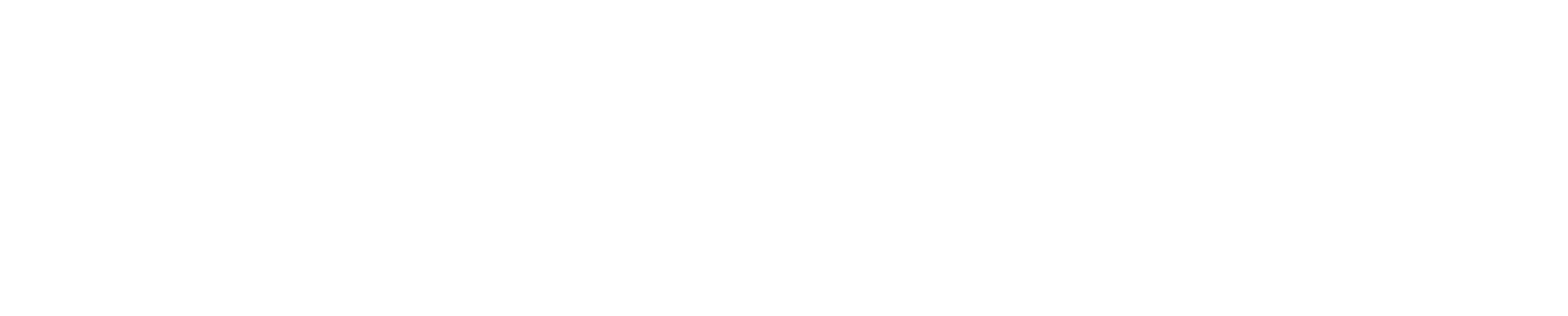 Meta Global Partner White