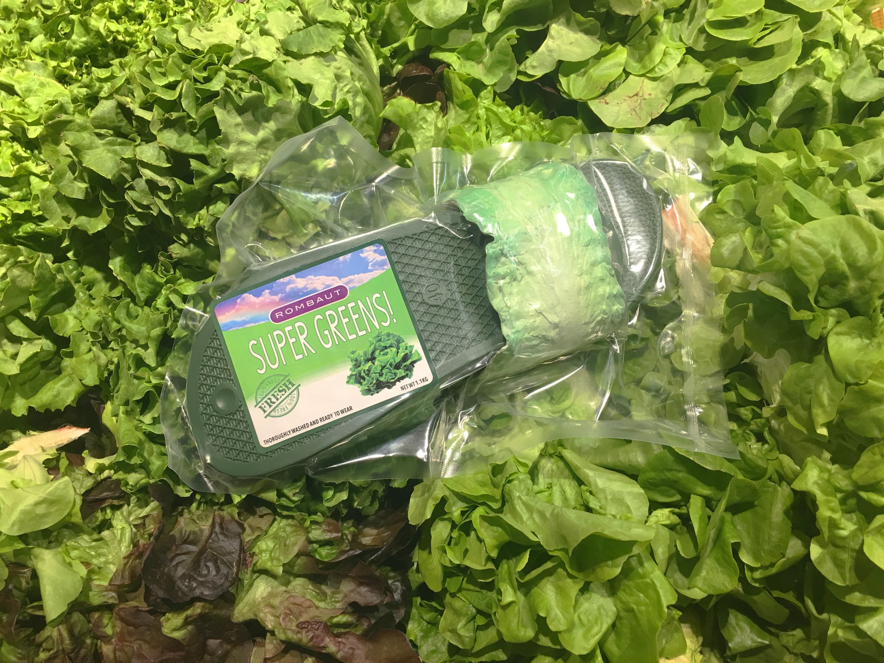 Sandals with a strap made to look like a lettuce leaf. The sandals are in plastic packaging and placed against a background of salad plants.