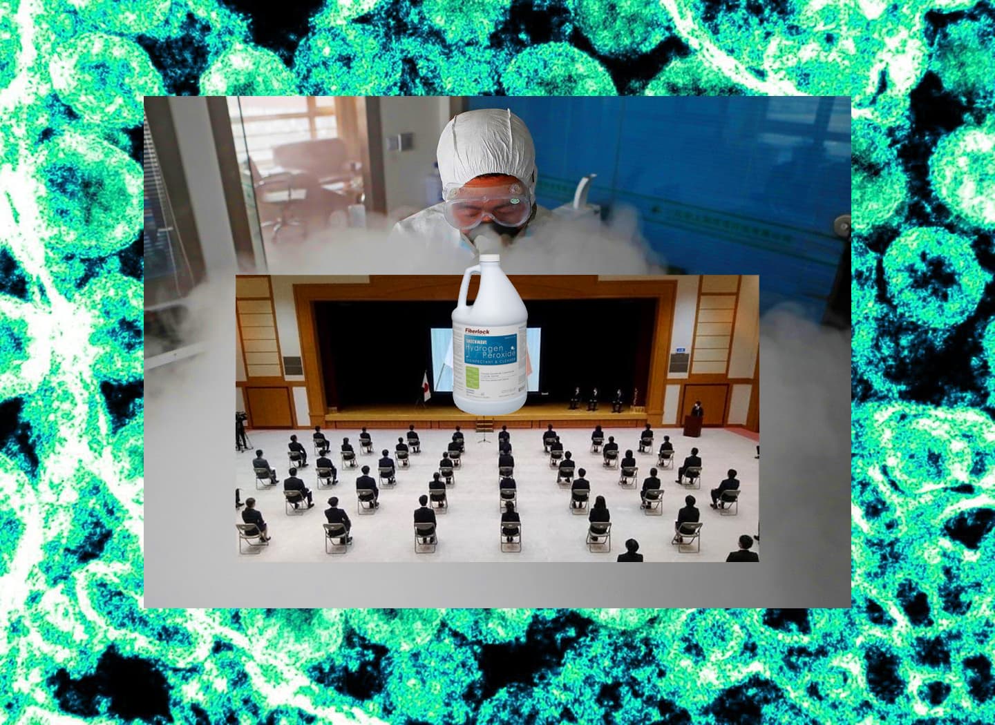Collage of images from The Transscalar Architecture of Covid-19.