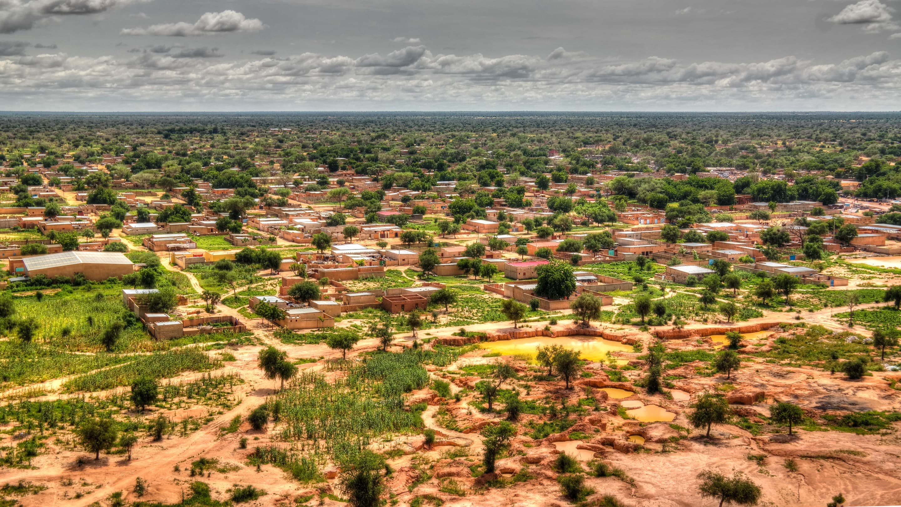 The Great Green Wall in Africa's Sahel region.