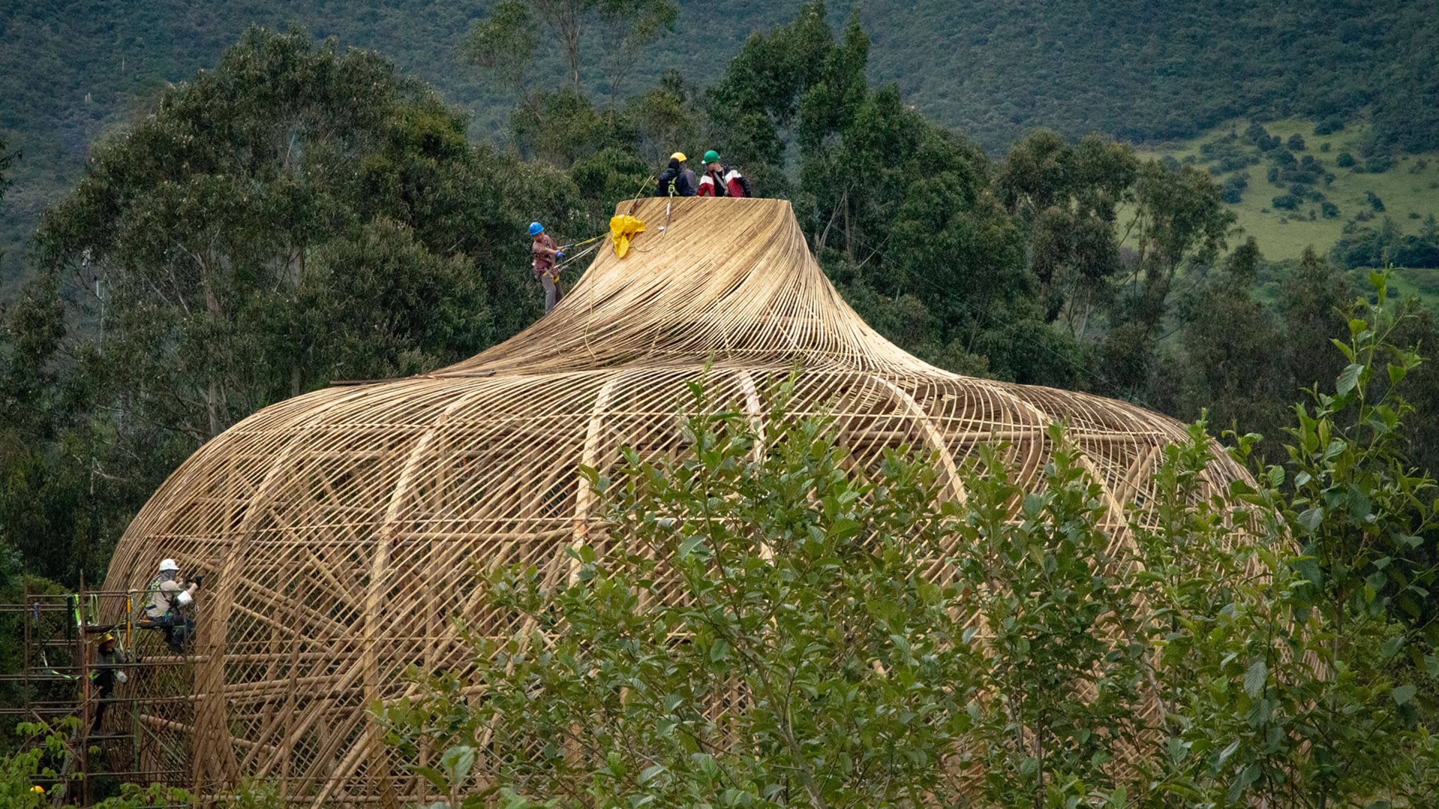 The House of Thought, a large woven palm structure, emerges from the trees of a forest.