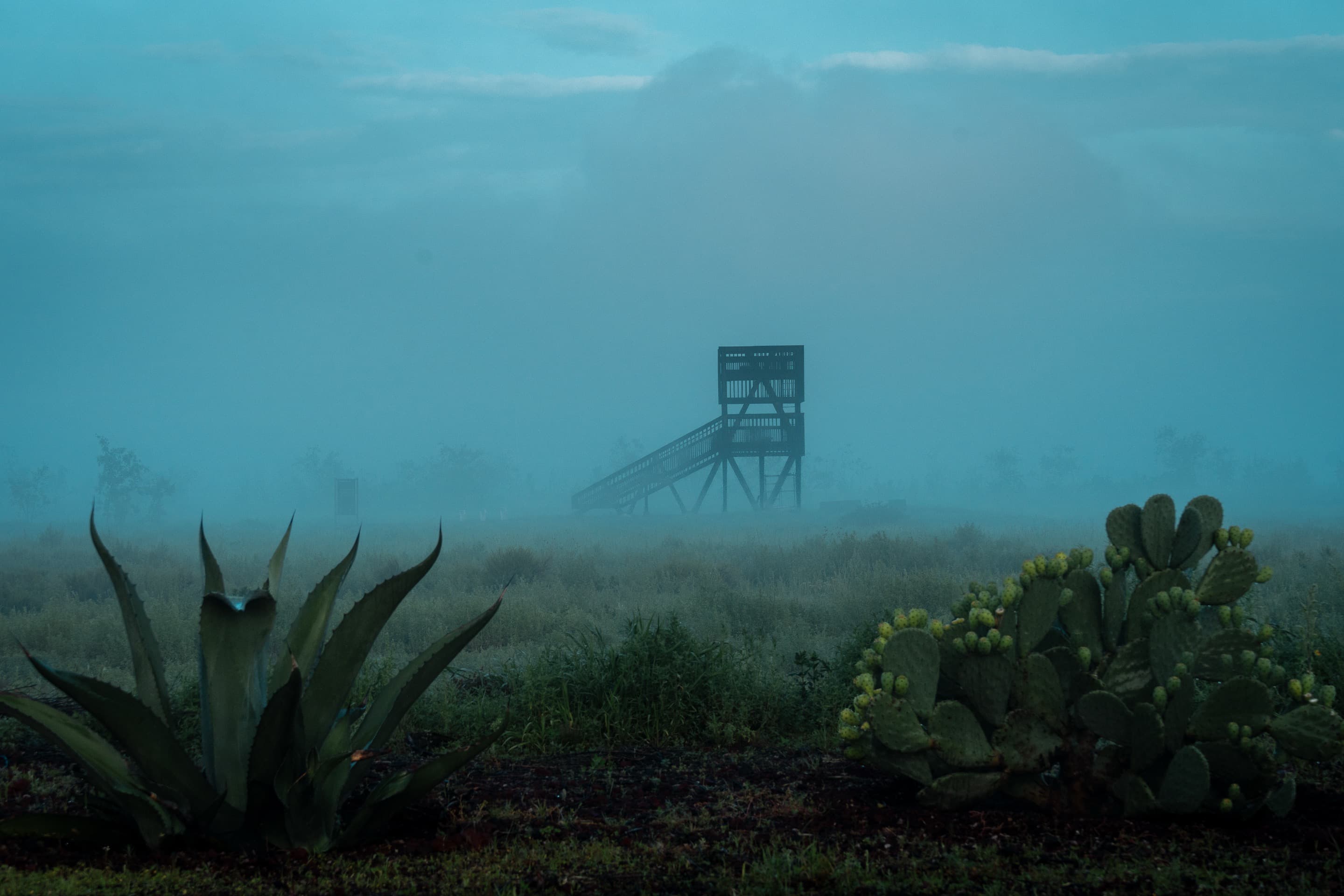 Parque Ecológico Lago de Texcoco by Iñaki Echeverría Arquitectura
