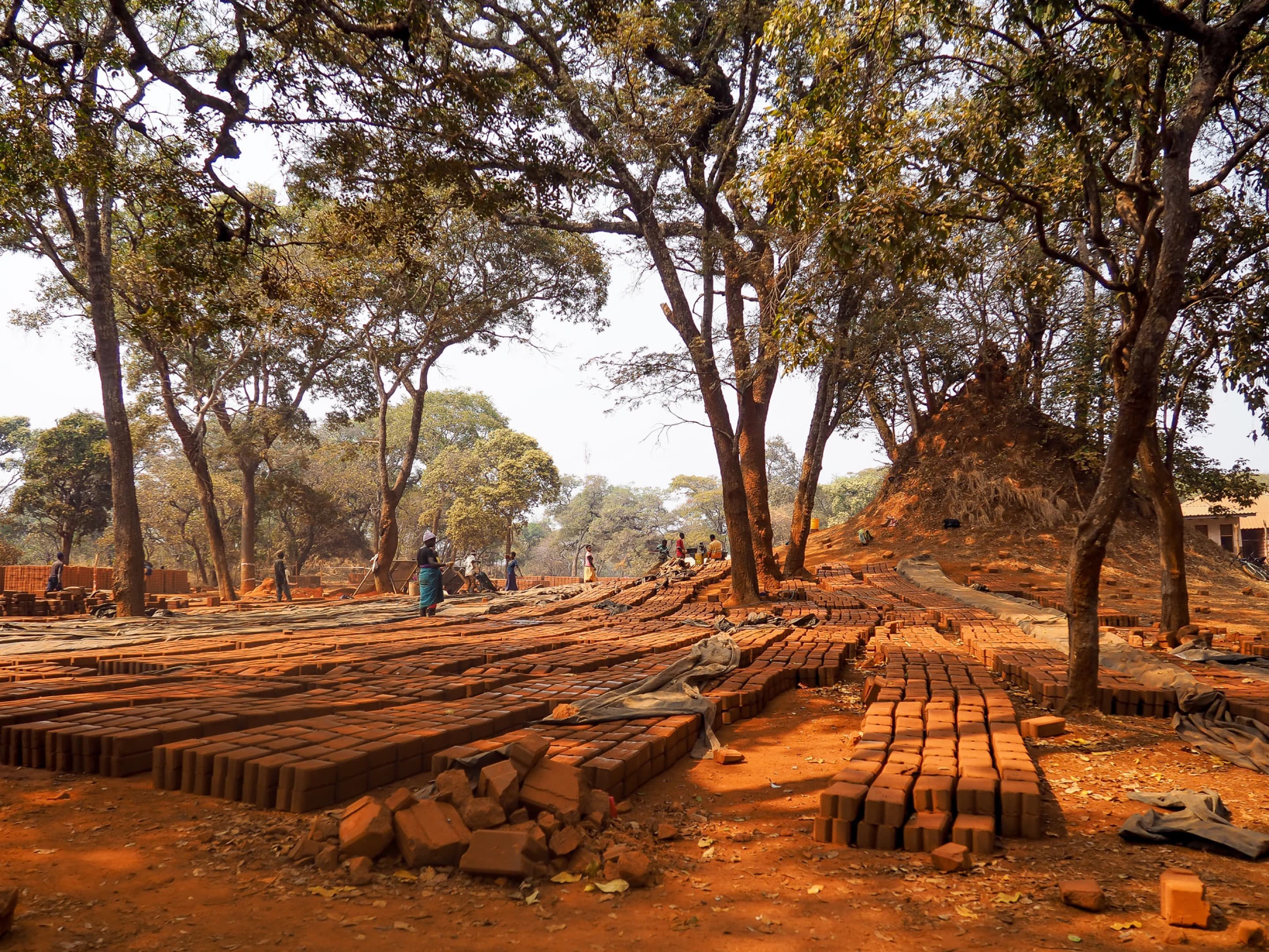 Earth bricks laid out to dry beneath trees as part of the construction of the Sachibondu rural health center