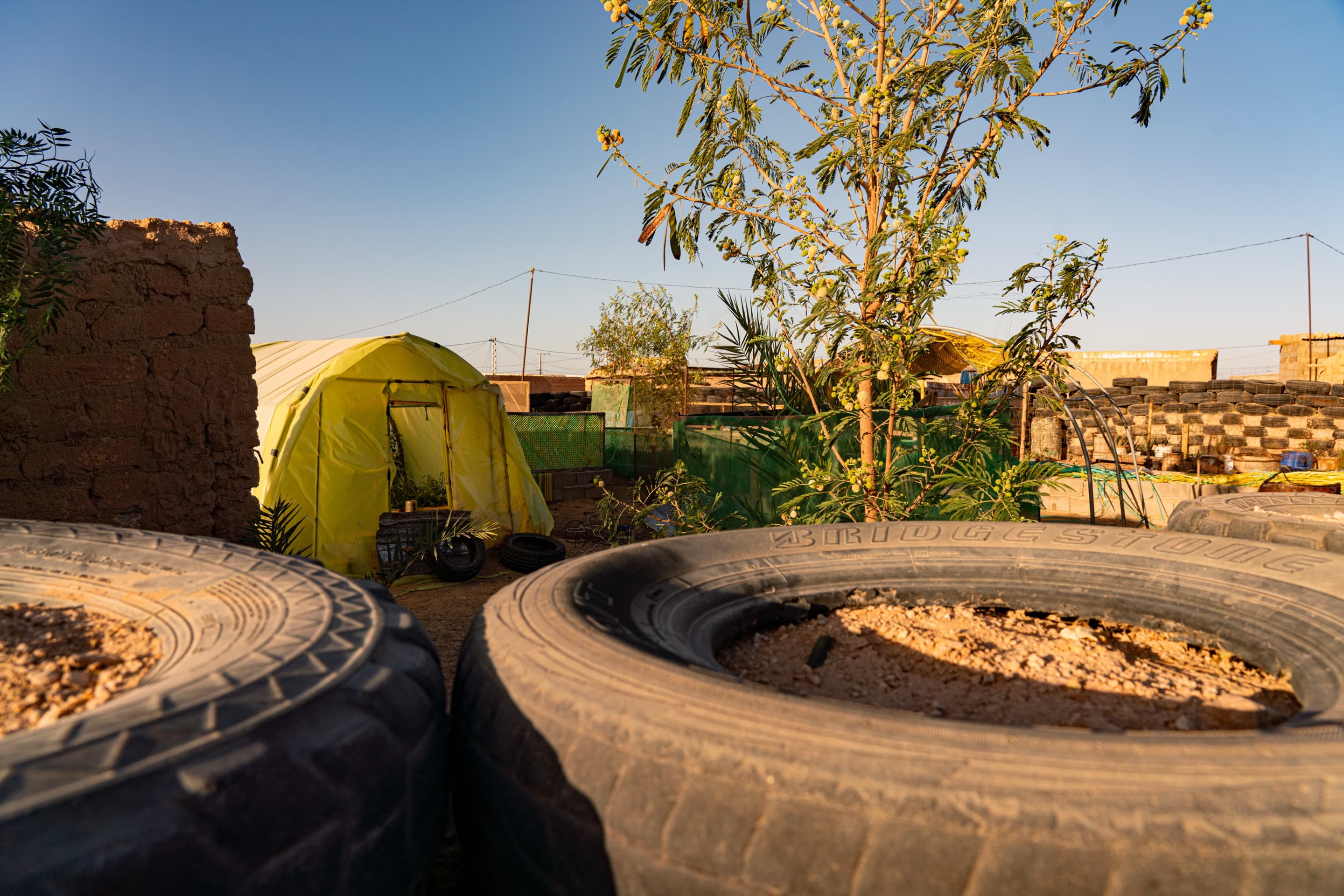 the-nomad-garden-mohamed-salem.jpg