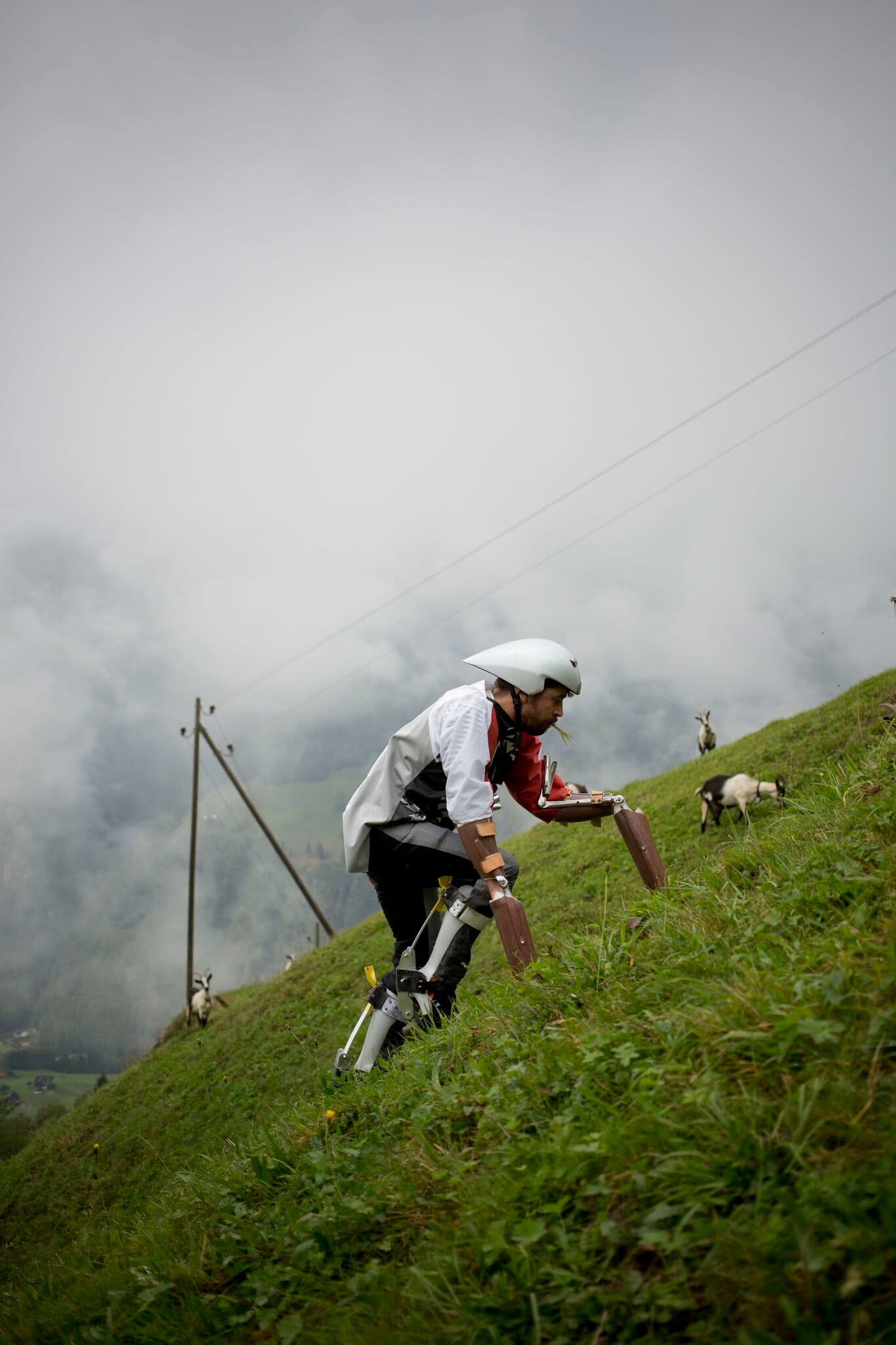 Thomas Thwaites on all fours as Goat Man on a grassy incline. In the background, real goats look up from their grazing.