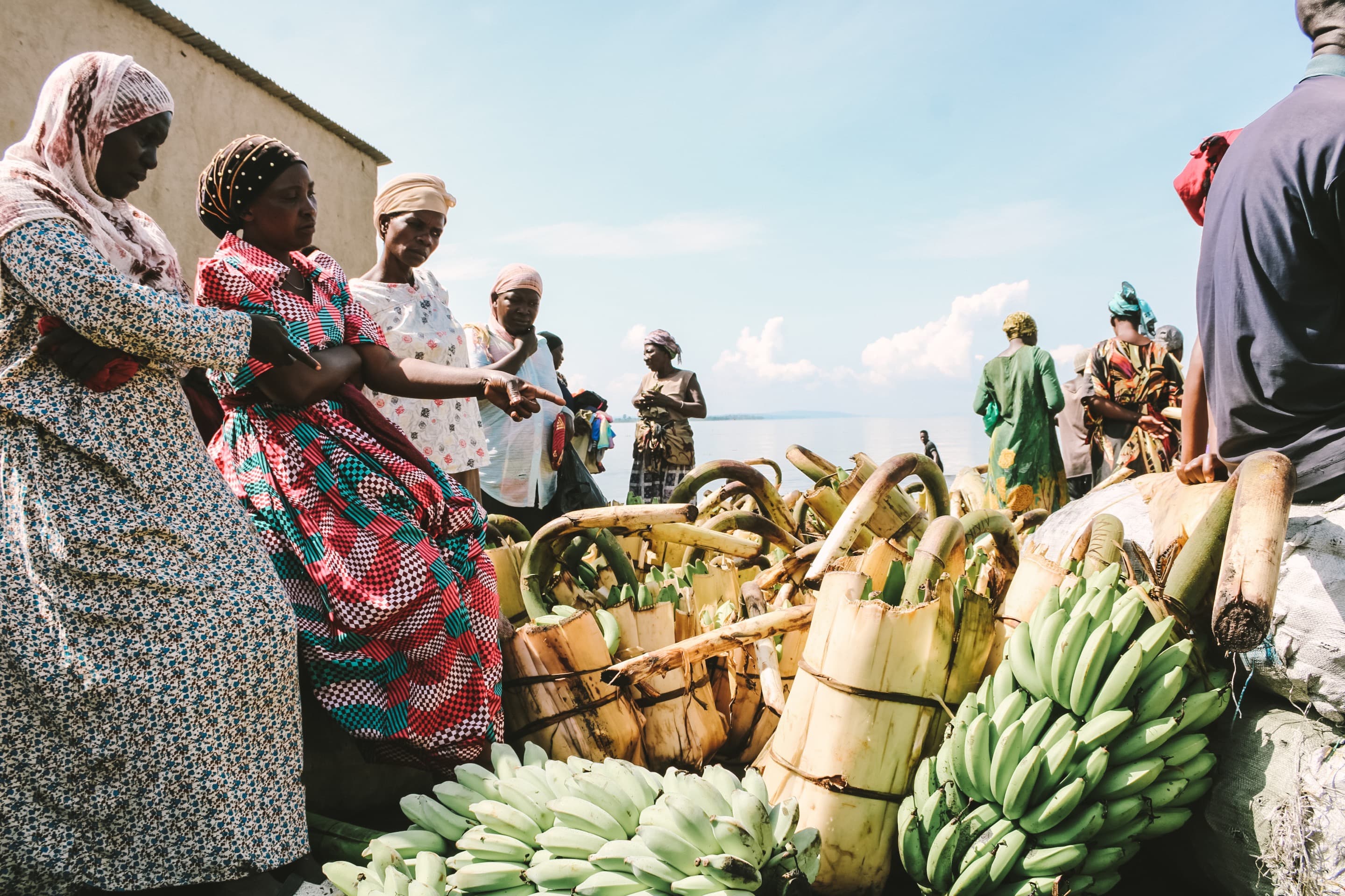 A group of women inspect a harvest of bananas.